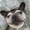 Michael Respicio - @michaelrespicio - TikTok