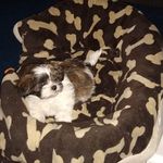 Michael Rexford - @michaelrexford - Instagram