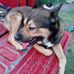 Mike Rhymes - Facebook