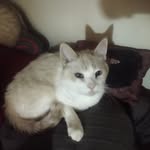 Michael Ribble - @michael.ribble.503 - Instagram