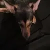 Michael Ridpath - @michael.ridpath0 - TikTok
