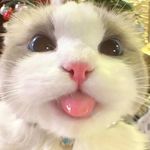 michael_riedel - @michael_riedel1 - Instagram