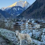 Michael Riedner - @michael.riedner - Instagram