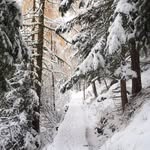 Michael Riedl - @00riedl - Instagram