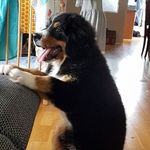 Michael Ries - @michael.ries.94 - Instagram