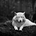 Michael Riffe - Facebook