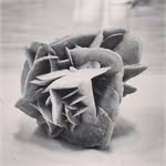 Michael Riffeser - @michaelriffeser - Instagram