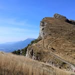 Michael Rigal - @michaelrigal - Instagram