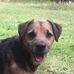 Michael Rigler - Facebook