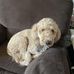 Mike Riker - Facebook