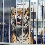 Michael Rima - @mike.rima23 - Instagram