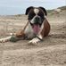 Michael Rimkus - Facebook