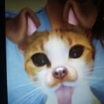 Michel rimkus - @rimkusmichel - Instagram