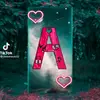 Michael Rinck - @michaelrinck803 - TikTok