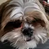 Michael Rinker - @michaelrinker7 - TikTok