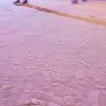 Michael Rinker - @michael.rinker.792 - Instagram