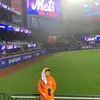 michaelrinker6 - @michaelrinker6 - TikTok