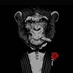 Michael Riojas - @wigglymonkey241 - Instagram