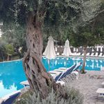 Michel Ripoll - @michel_ripoll - Instagram