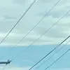 michaelritch6787 - @trikkitrokk637 - TikTok