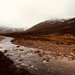Michael Rivers - @mikemrivers - Instagram