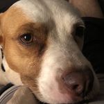Michael Roane - @mfroane850 - Instagram