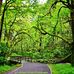 Michael K Robb Photography - Facebook