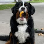 Michael Robb - @michael.a.robb - Instagram