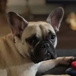 Michael robb - @michaelrobb484 - Instagram