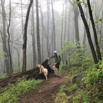 Michael Roberson - @michael___roberson - Instagram