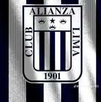 Michael Roberto Sedano Quispe - Facebook