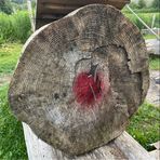 Michael Robichaud - Facebook