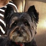 Michael Robillard - @robillard1952 - Instagram