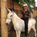 Miguel Roberto - Facebook