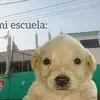 Michael Rock - @michael.rock77 - TikTok