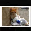 michaelrocks07 - @eggroleking - TikTok