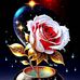 Michael Rodas - Facebook