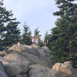 Michael Rodak - @michaeljrodak - Instagram