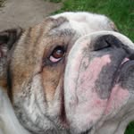 Michael Rodd - @rodd6764 - Instagram