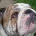 Michael Rodd - Facebook