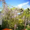 michaelrodenstock - @michaelrodenstock - TikTok