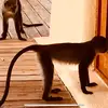 Michael Rohls - @michael.rohls - TikTok
