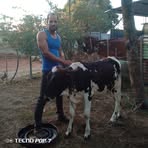 Michael Rojas - Facebook