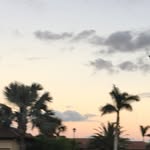Michael Rolan - @michael_fpc - Instagram