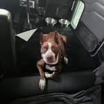 Michael Roller - @roller_transit - Instagram