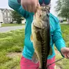 Michael Rollman - @michael.rollman - TikTok