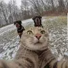 Michael Rombach982 - @michael79222 - TikTok
