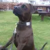 Michael Rumney - @michael.rumney - TikTok