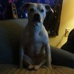 Michael Roop - @rooper_did_it - Instagram