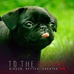 Michael Roots - @michael.roots.1420 - Instagram